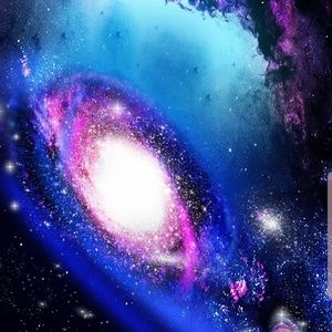 Meet your Posher, Desiree